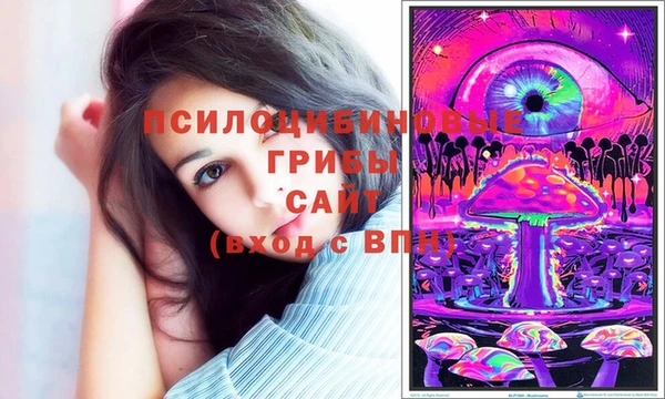 хмурый Богданович